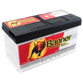 Аккумулятор Banner Power Bull PRO P10040